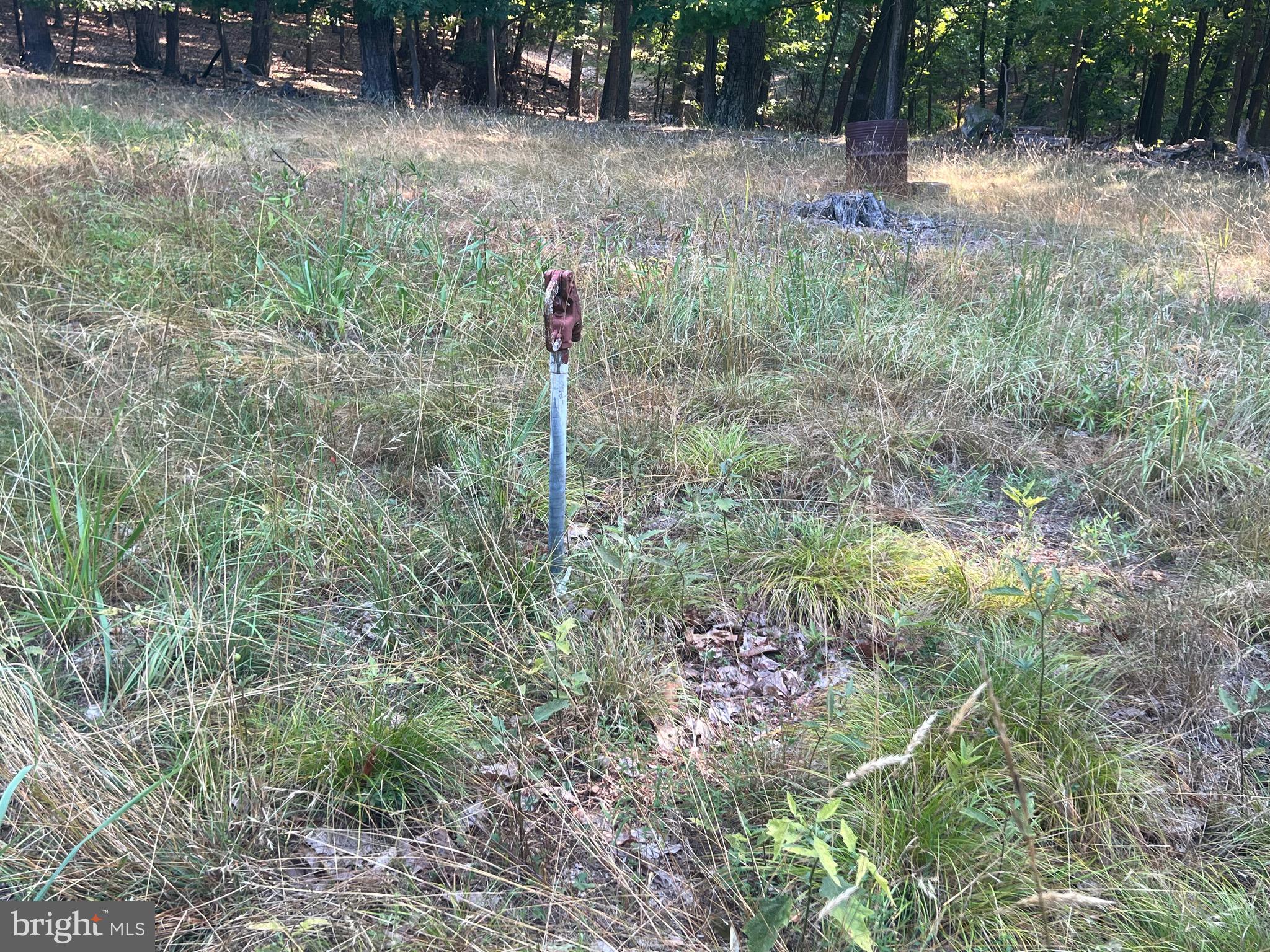 GLEN ECHO FARM - Land