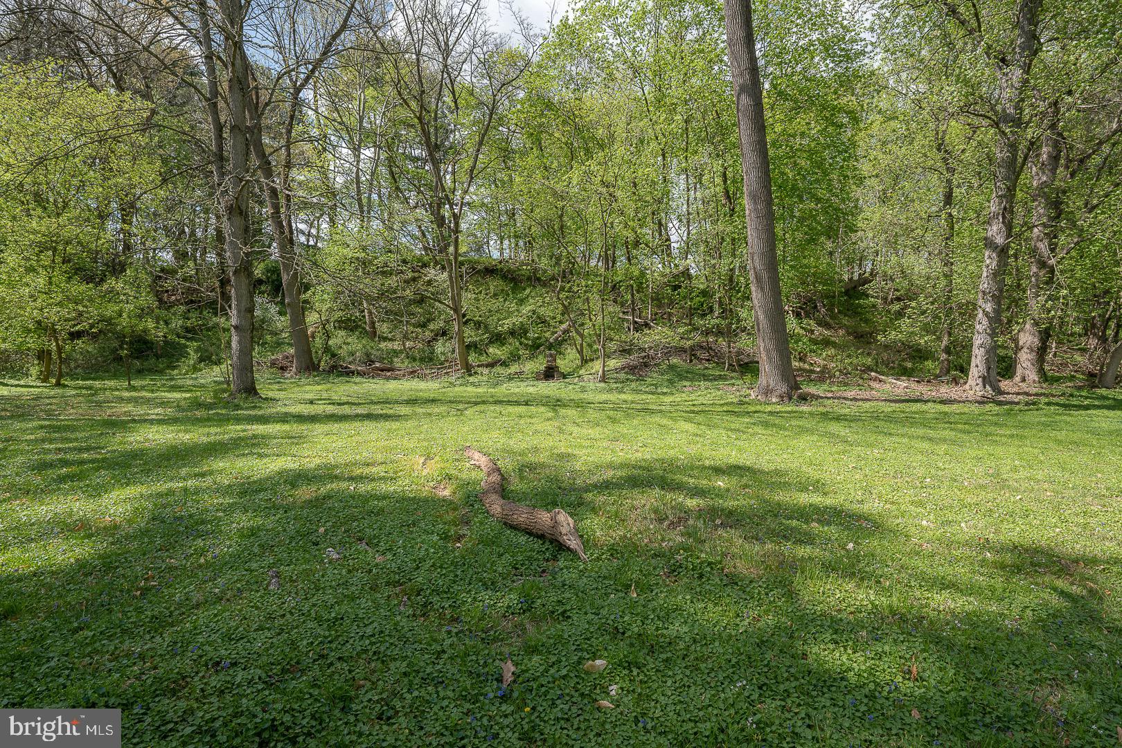 BRYN MAWR - Residential