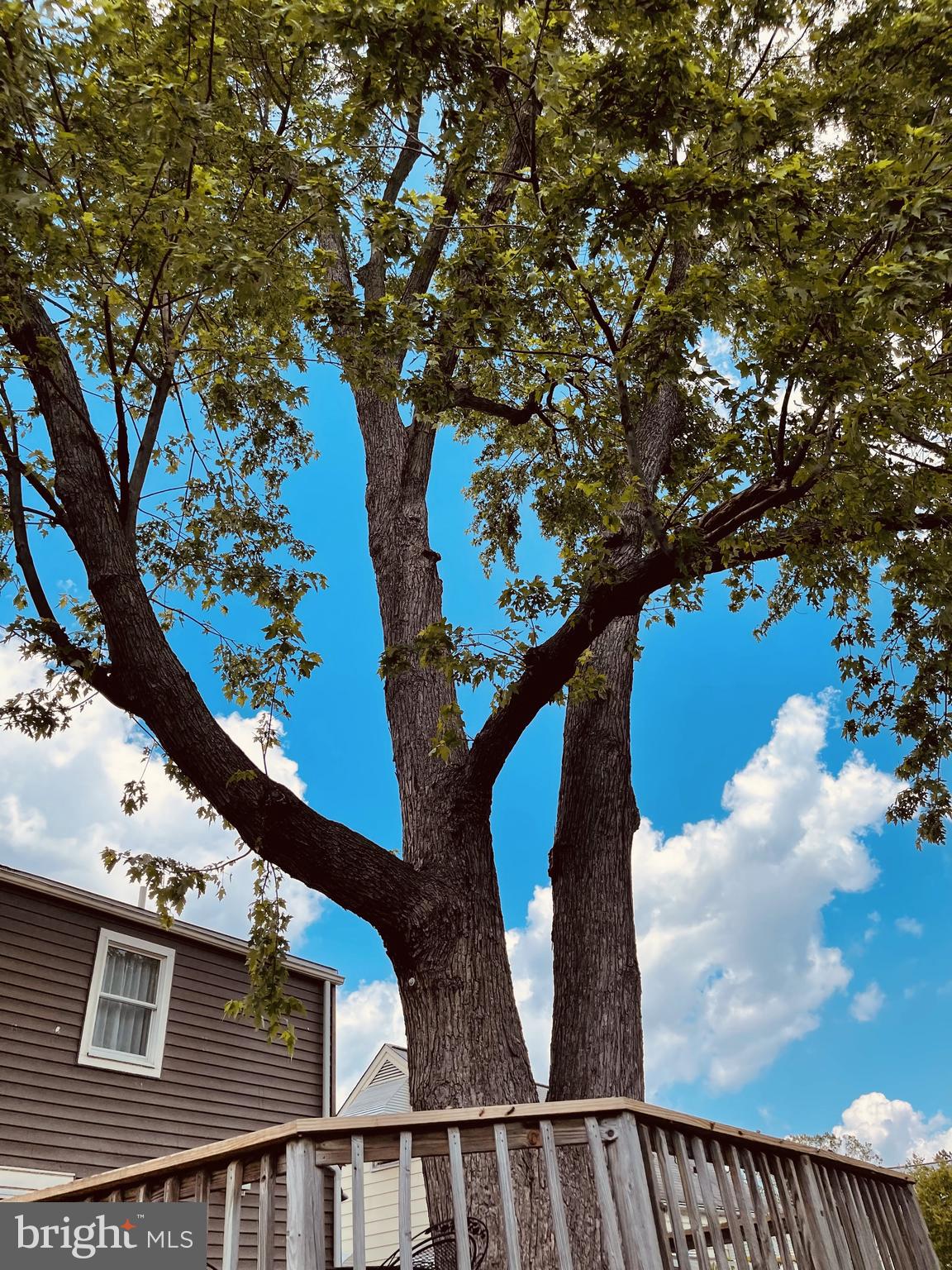 PARKVILLE HEIGHTS - Residential