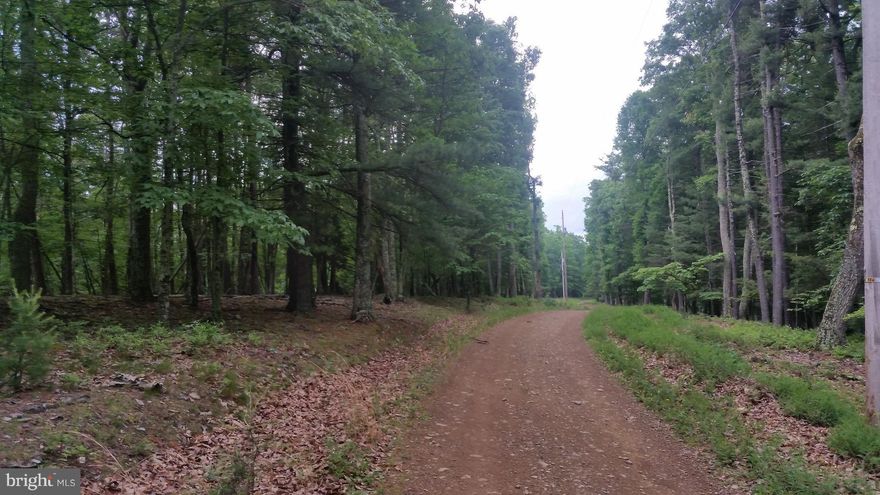 5.46 Acres in the Great Cacapon area, a great place for the weekend getaway with the Potomac and Cacapon Rivers in the area, and along with the newly opened Sidling Mountain Wildlife Management area. Beautifully wooded lot with seasonal mountain has a 3-bedroom septic permit in place, come out for a look today!