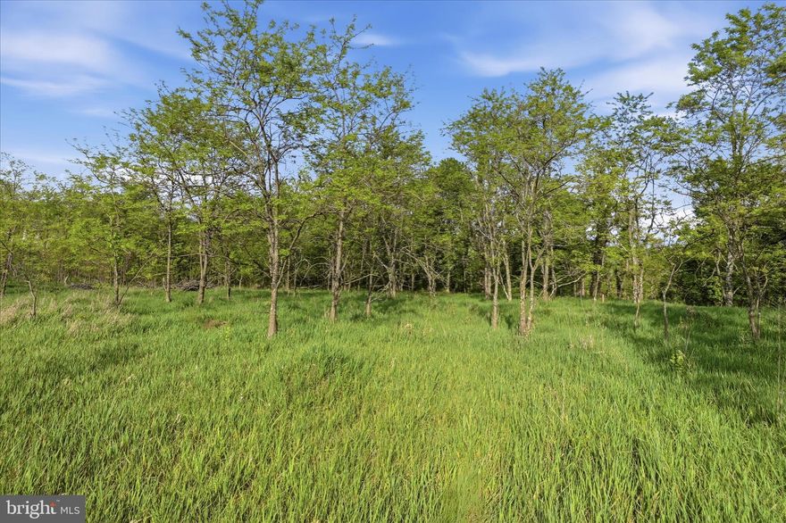 Discover your own slice of "Almost Heaven" in  Lost Mountain Subdivision of Romney, WV. This unimproved 3.36 acres of land offers the ultimate canvas for your custom mountain retreat, where every day begins with golden sunrises and ends with breathtaking sunsets and layered mountain views. 

Why you’ll love it here: 

 Outdoor Paradise:  Bordering over 10,000 acres of state public hunting land, you have direct access to prime wilderness just a short walk or UTV ride from your future doorstep.  

Wildlife & Serenity: Experience an abundance of nature in a quiet, secluded setting that feels worlds away, yet features well-maintained road access for year-round ease.

Fly-In Accessibility: A unique perk for aviation enthusiasts—the subdivision features its own private airstrip, allowing you to bypass the drive and land your private plane right in the community.

Convenient Location: While you’ll feel fully immersed in the wild, you are only a short drive from the historic Town of Romney for shopping, dining, and local amenities. 

If you are looking to escape from urban life this is a golden opportunity.  Whether you're dreaming of a rustic cabin or a modern cliffside estate, this property offers the rare combination of adventure, privacy, and accessibility.  

Note:  This lot was previously approved for a Class 1 Perk, underground electric available on site.  That perk has expired however.

The information contained herein is for informational purposes only.  RE/MAX Roots makes no representation as to the accuracy or reliability of the information.  The buyer is to verify information provided and related to the property that is material to a buyer's decision to purchase the property.   All documents and other information attached to this listing are provided as a courtesy and should be researched and verified by the buyer agent.