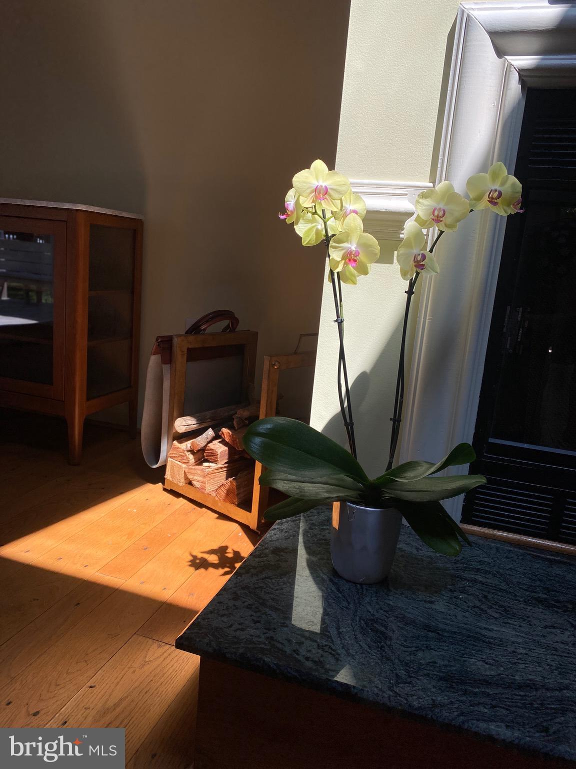 WEST ANNAPOLIS - Residential