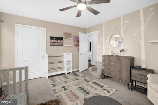 CEDAR TREE - Residential