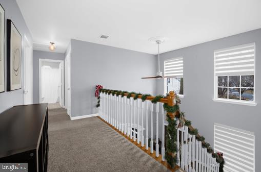 CEDAR TREE - Residential