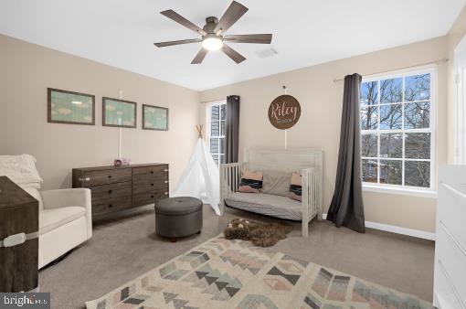 CEDAR TREE - Residential