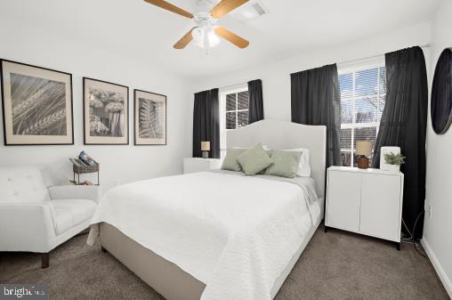 CEDAR TREE - Residential