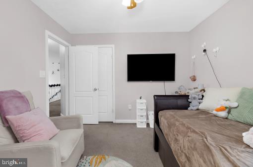 CEDAR TREE - Residential