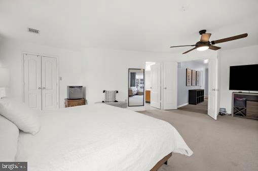 CEDAR TREE - Residential