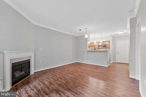 MLS: VAFX2345284