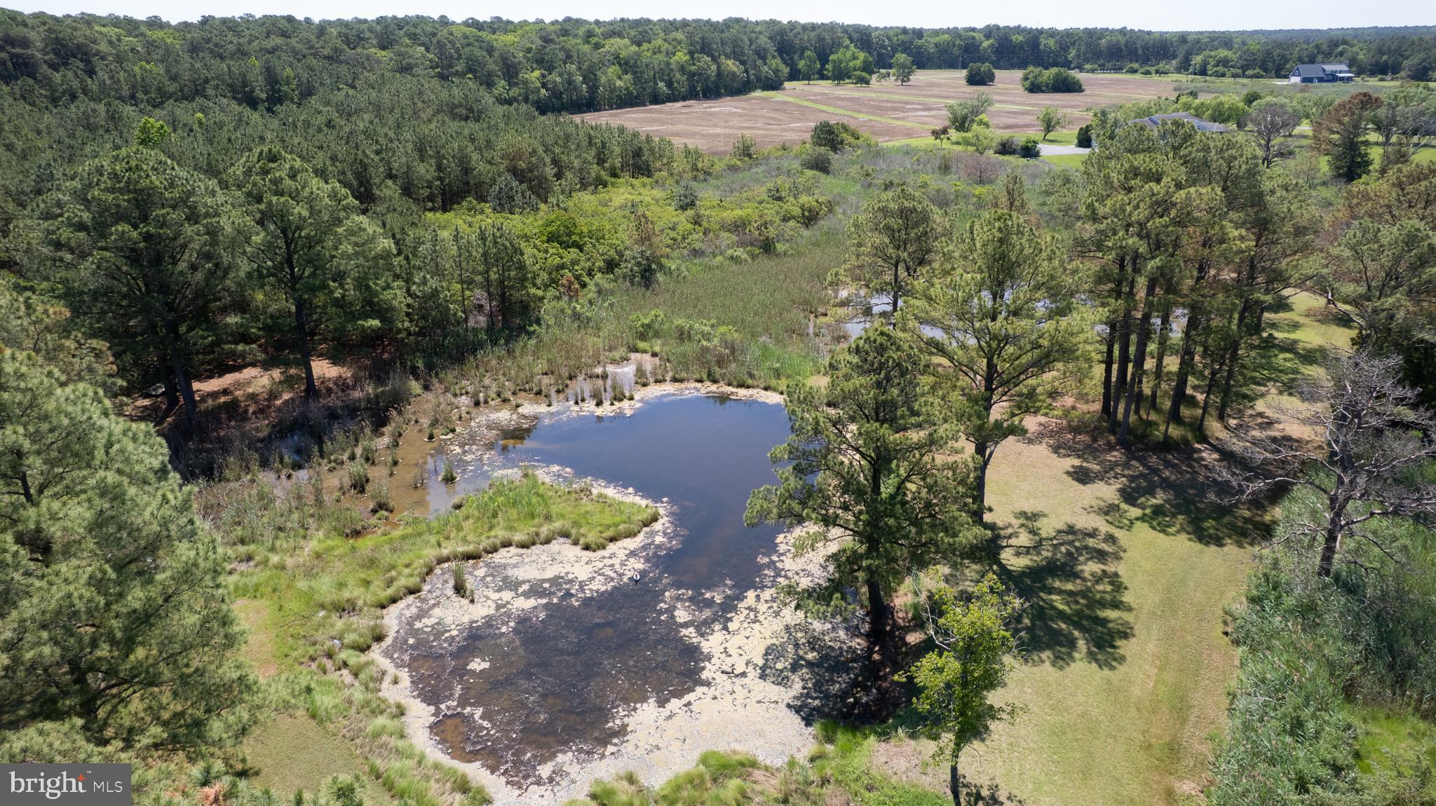 BROMWELLS ADVENTURE - Residential