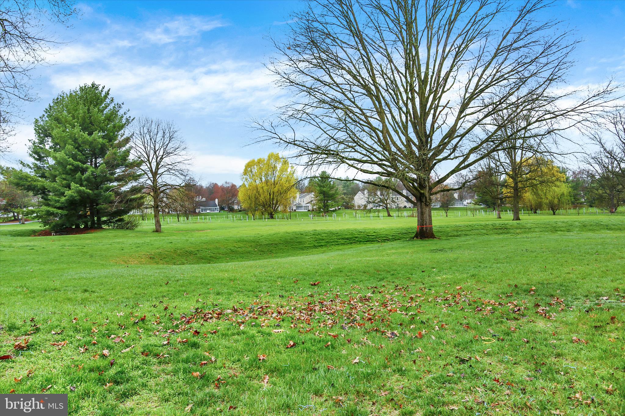 ROCKLEDGE - Residential