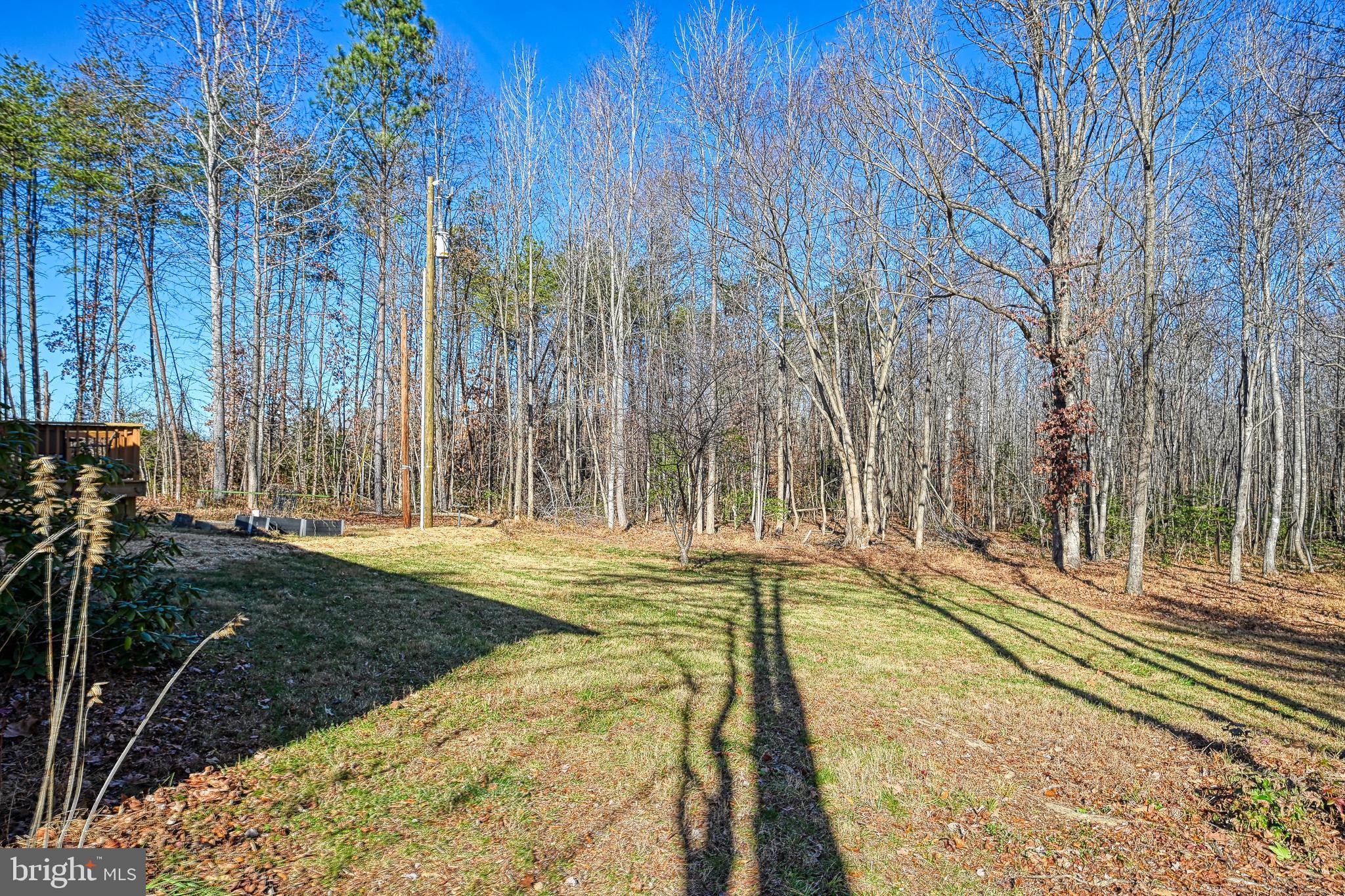 589 THREE CHOPT ROAD