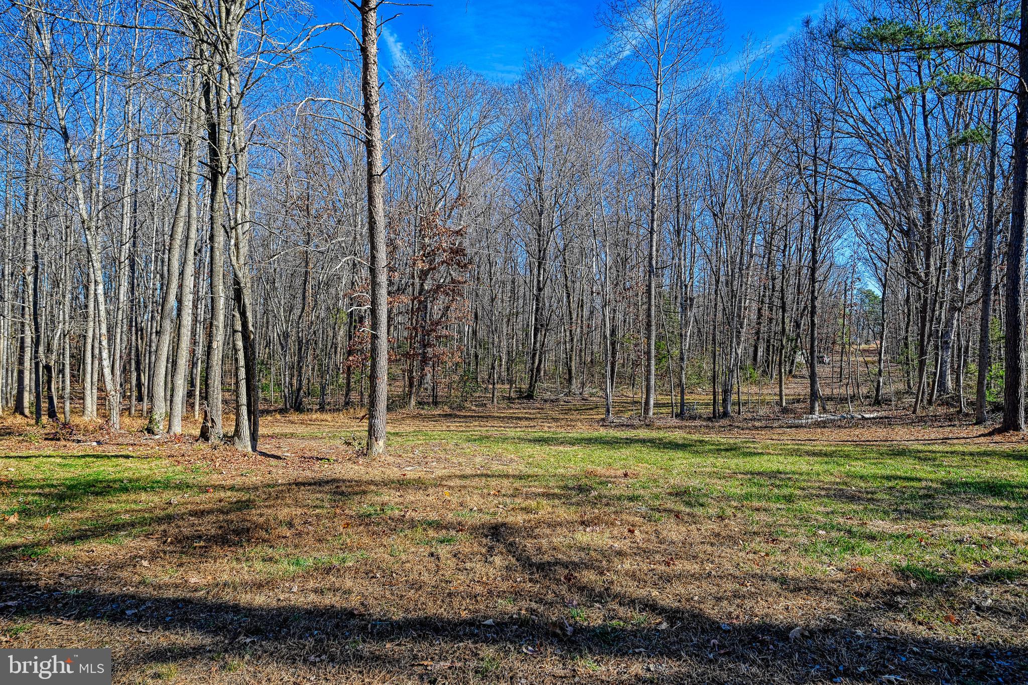 589 THREE CHOPT ROAD