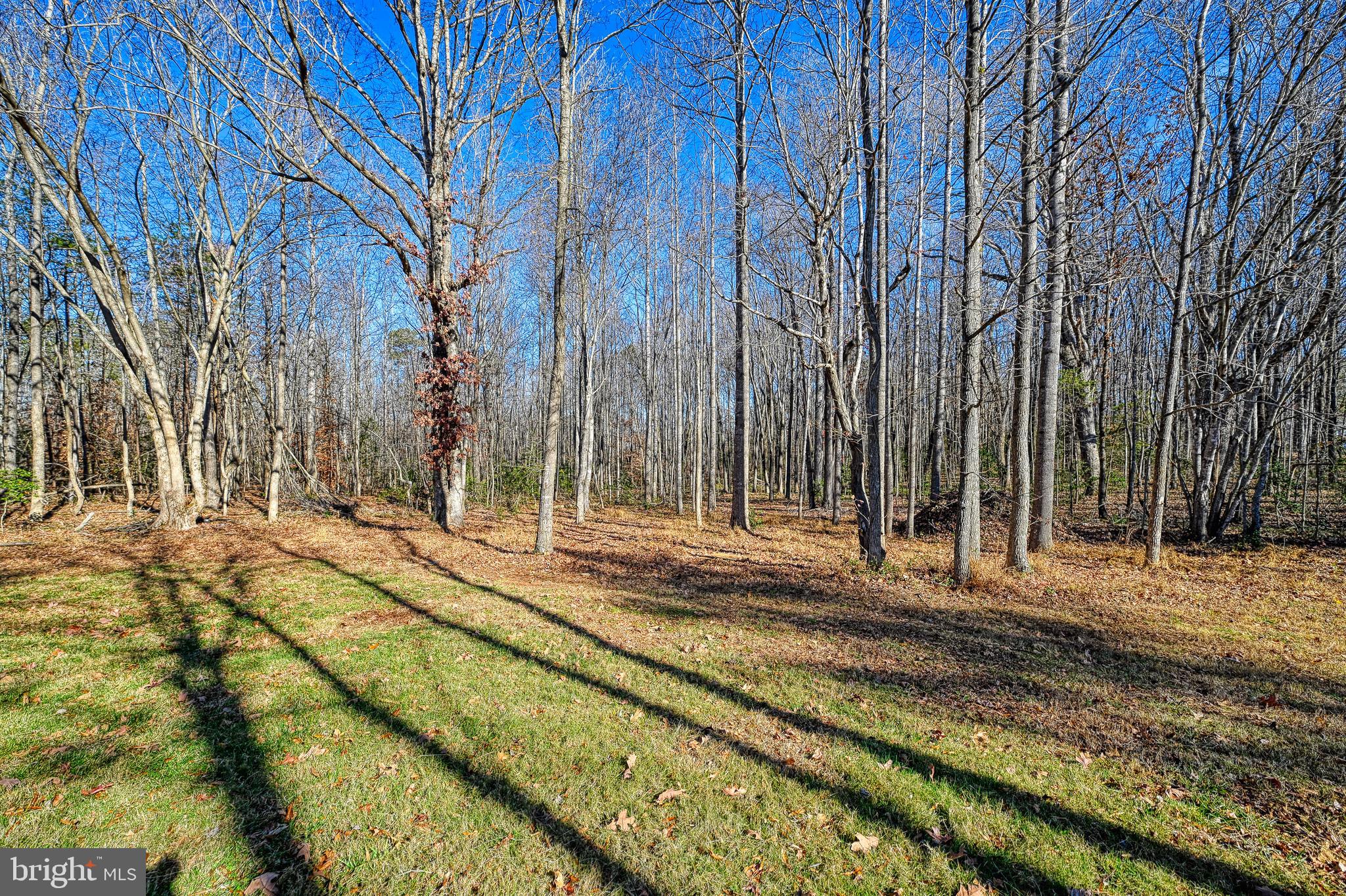 589 THREE CHOPT ROAD