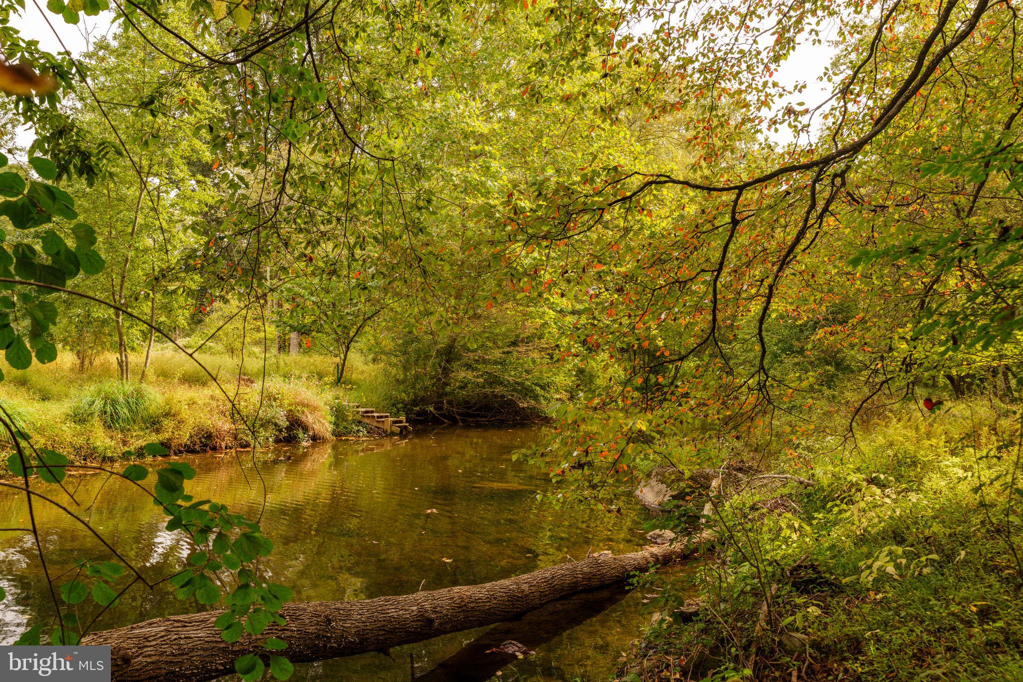 RADNOR HUNT - Residential