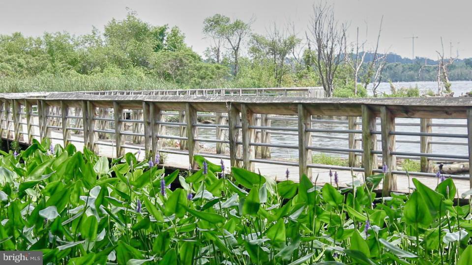 PORT ROYAL - Residential