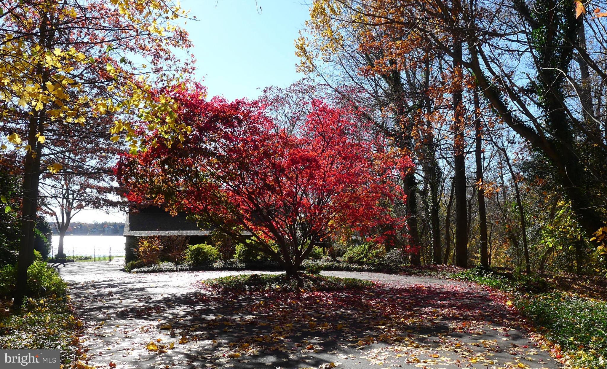 POPLAR POINT - Residential