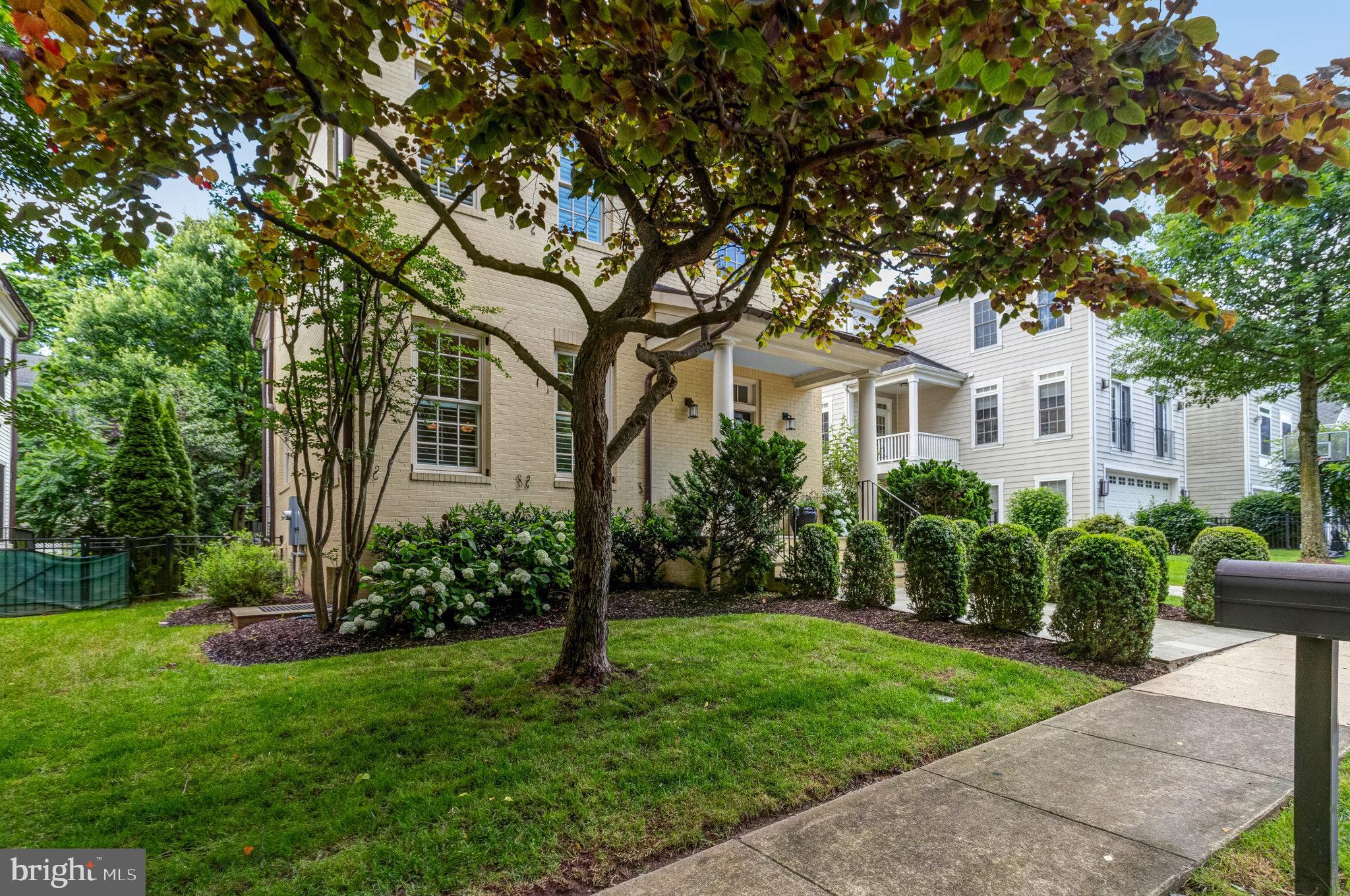 DAWSON TERRACE - Residential