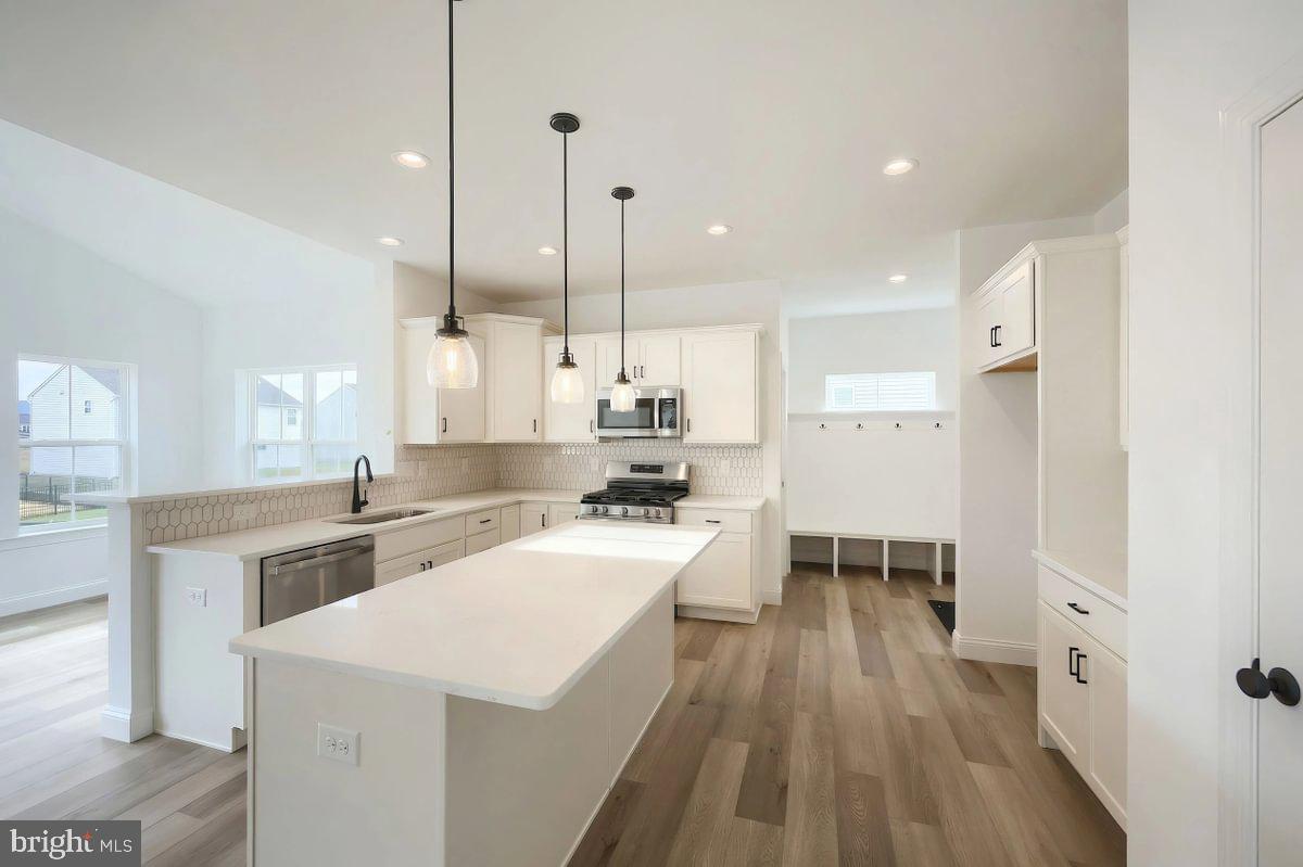 HICKORY POINTE - Residential