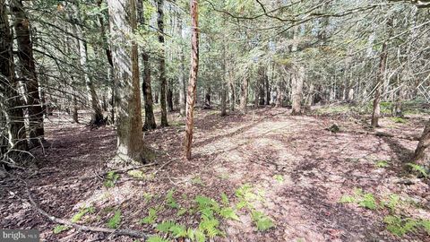 Vacant Land For Sale - 211 Aquaris Ln<br/> Wayne County, LAKE ARIEL, PA 18436