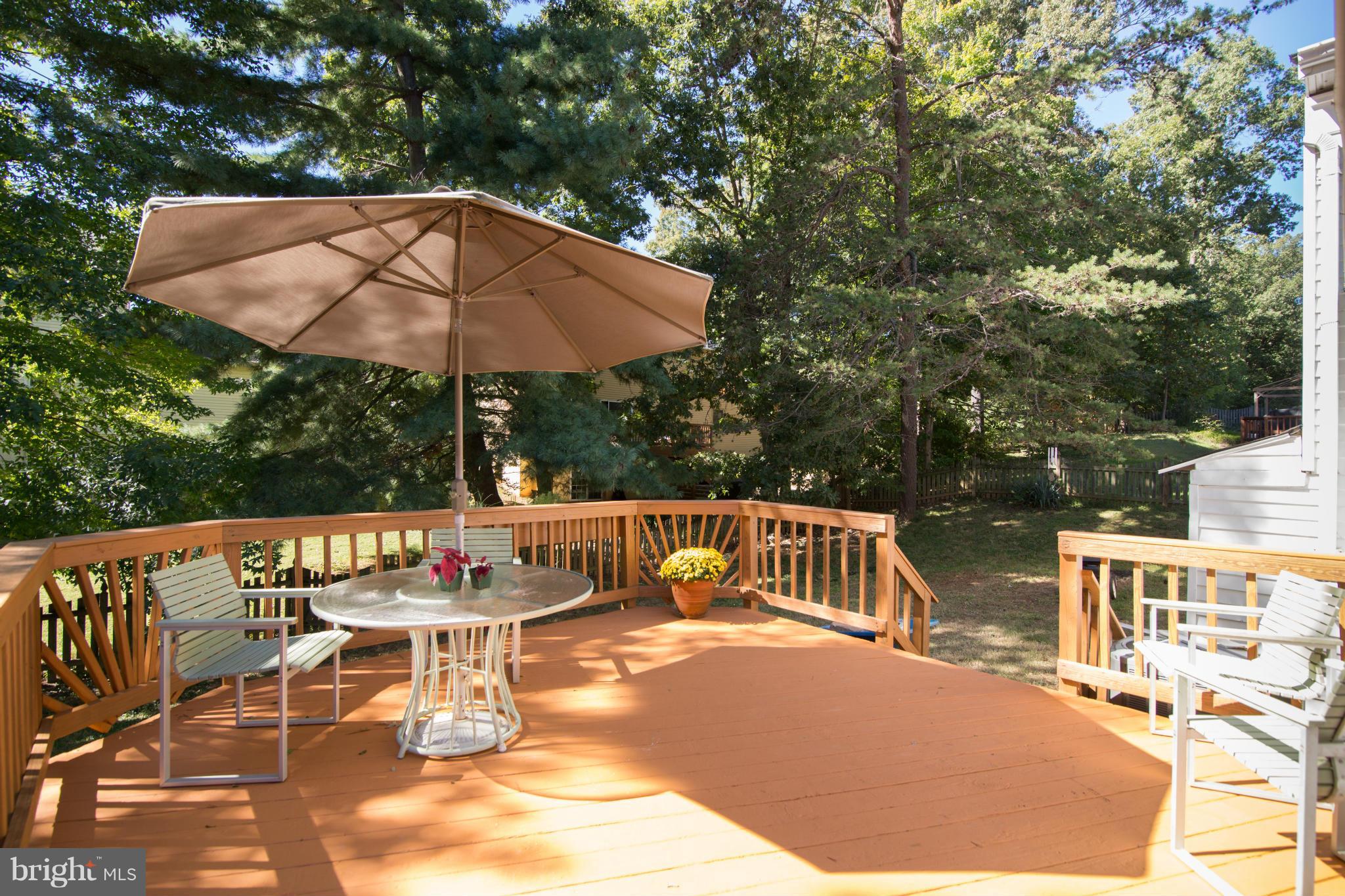 COUNTRY CLUB/LAKE MONTCLAIR - Residential