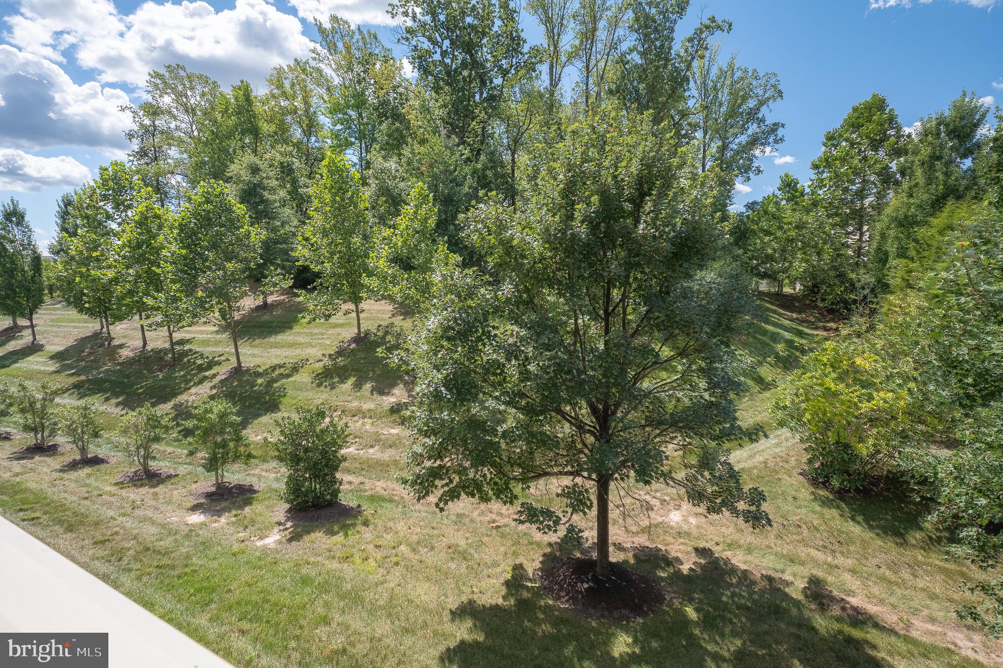 PARKSIDE - Residential