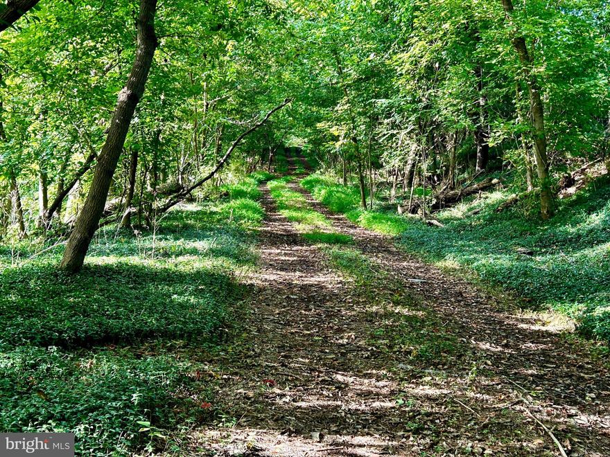 Nestled in the picturesque countryside of Hedgesville, West Virginia, this sprawling 3.5-acre parcel of land offers a serene and unrestricted canvas for your dream home to be built. Escape the hustle and bustle of city life and embrace the simplicity of country living on this  parcel. The property's peaceful surroundings provide the perfect backdrop for creating your ideal rural retreat. Whether you're seeking a private getaway, a place for agriculture, or a peaceful homestead, these 3.5 acres offer endless possibilities.  Mobile homes (single or double) are permitted. This land comes with a touch of history, as it used to be referred to as the Old Landis Farm.  Construct a long driveway to circumvent the railroad tracks and add a leisurely drive to your future homestead.  Sellers indicate there’s 2 old wells on property but no septic system and no perc on record.  Many years ago there was a dwelling on this property with all electric and water (hand-dug well). This property shares a border with a beautiful meadow, capturing breathtaking views and a sense of connection to the land. Whether you’re an aspiring farmer, or just looking for acreage for a home, this property will deliver. While the property sits in quiet seclusion, it is worth noting that it is located near a railroad track, adding a touch of nostalgia and adventure to its ambiance. The distant rumble of trains serves as a reminder of the rich history of the area, evoking a sense of timelessness.