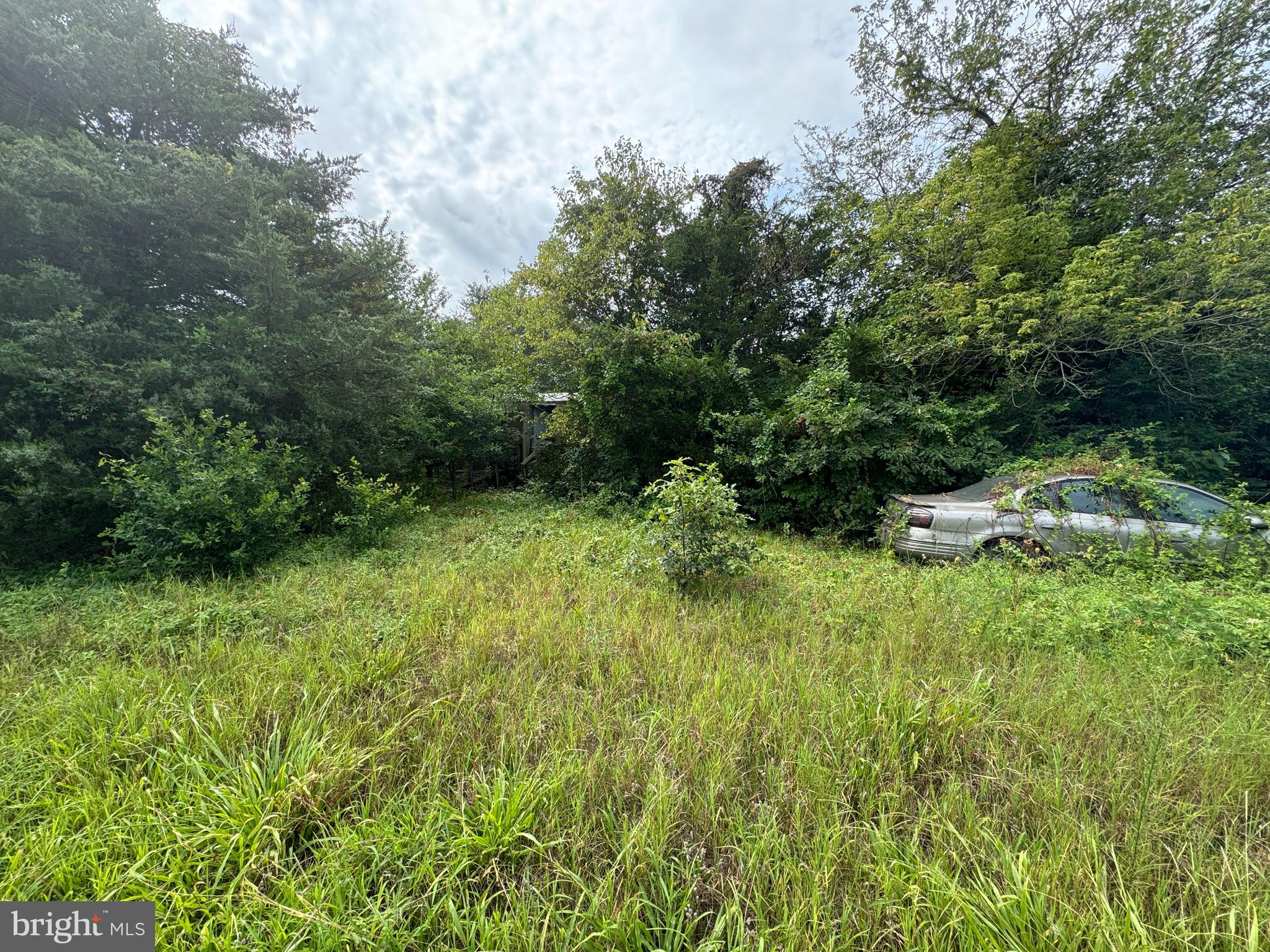 4715 PETERSBURG BACK STREET