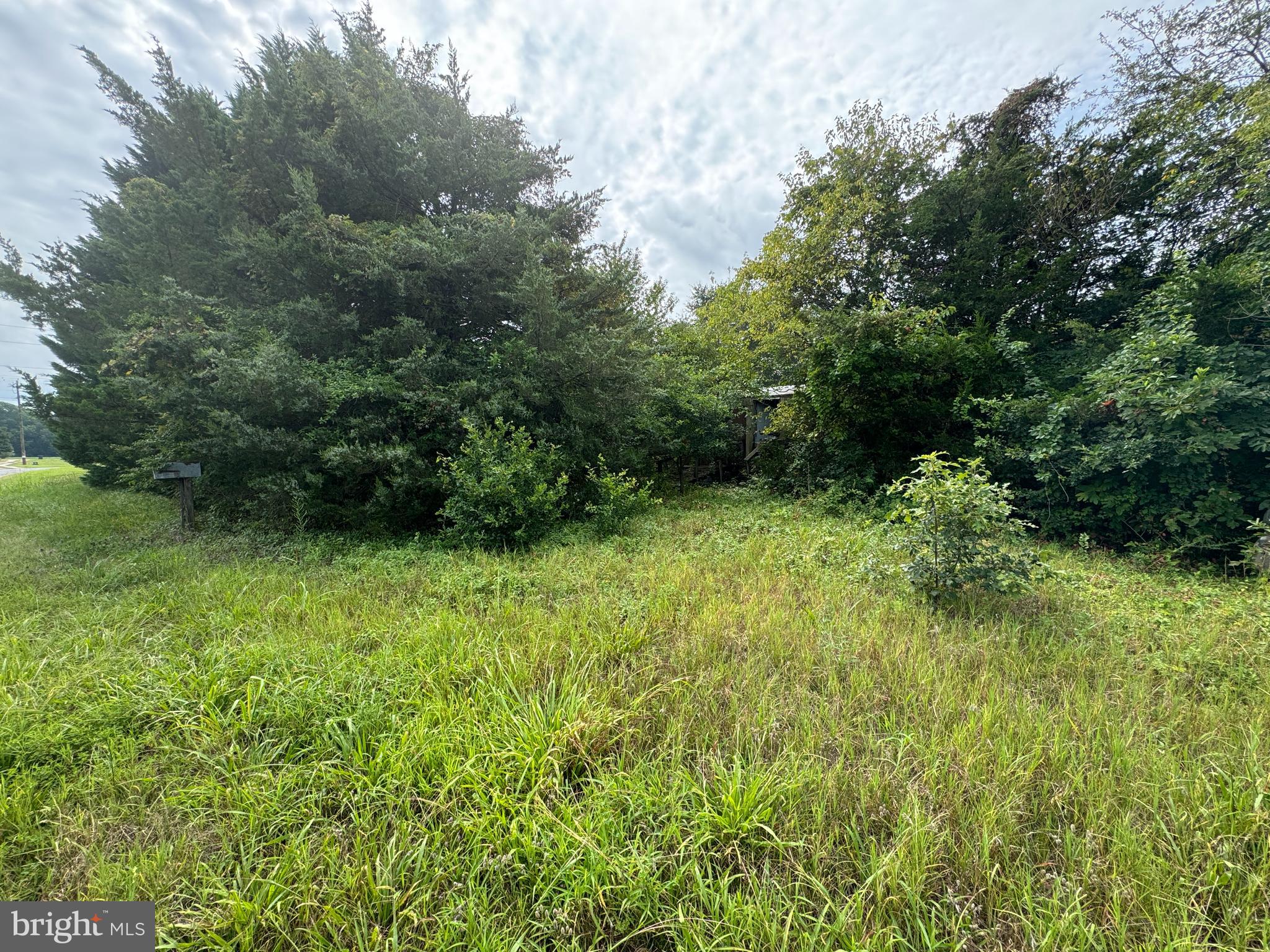 4715 PETERSBURG BACK STREET