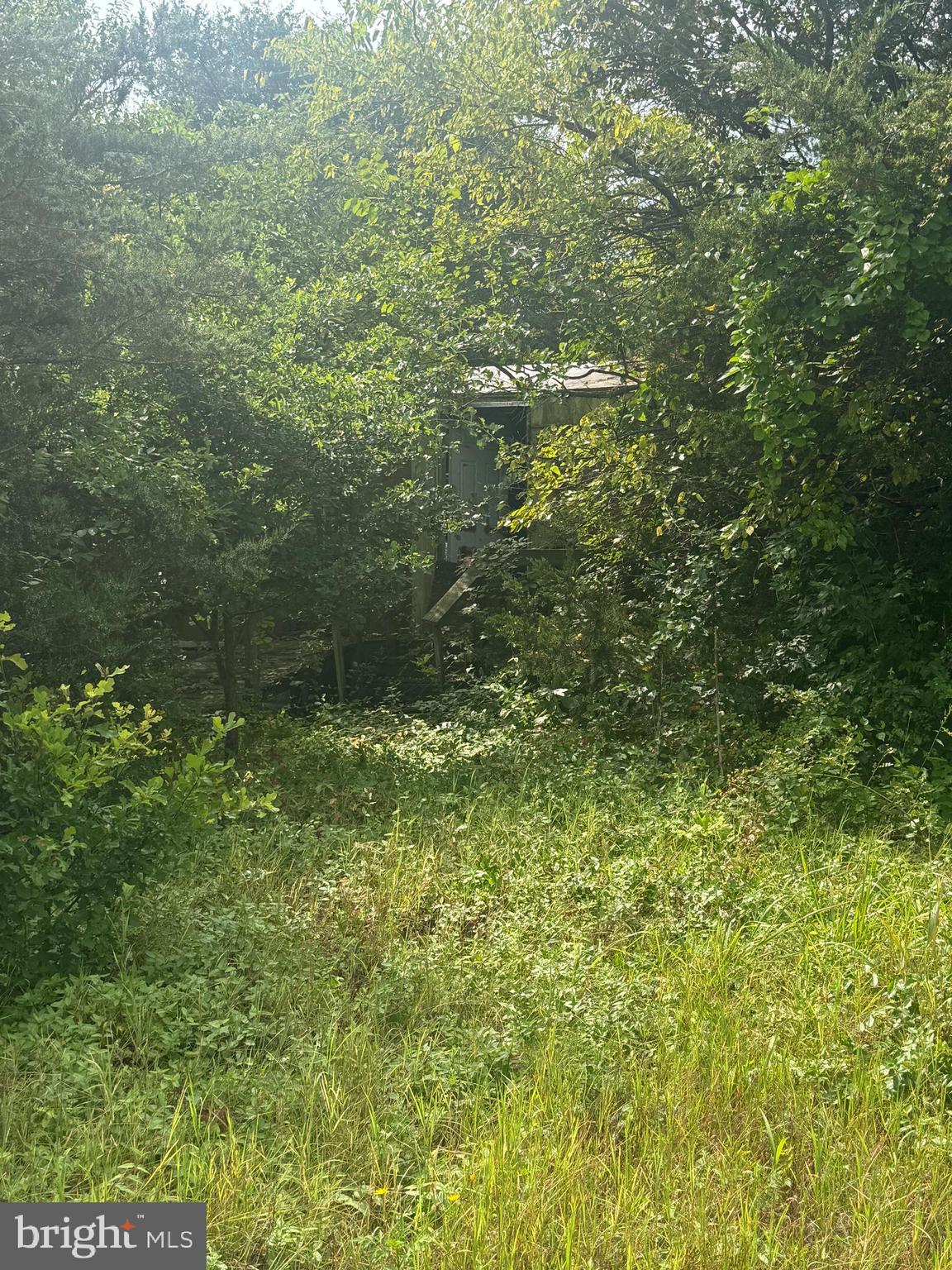 4715 PETERSBURG BACK STREET