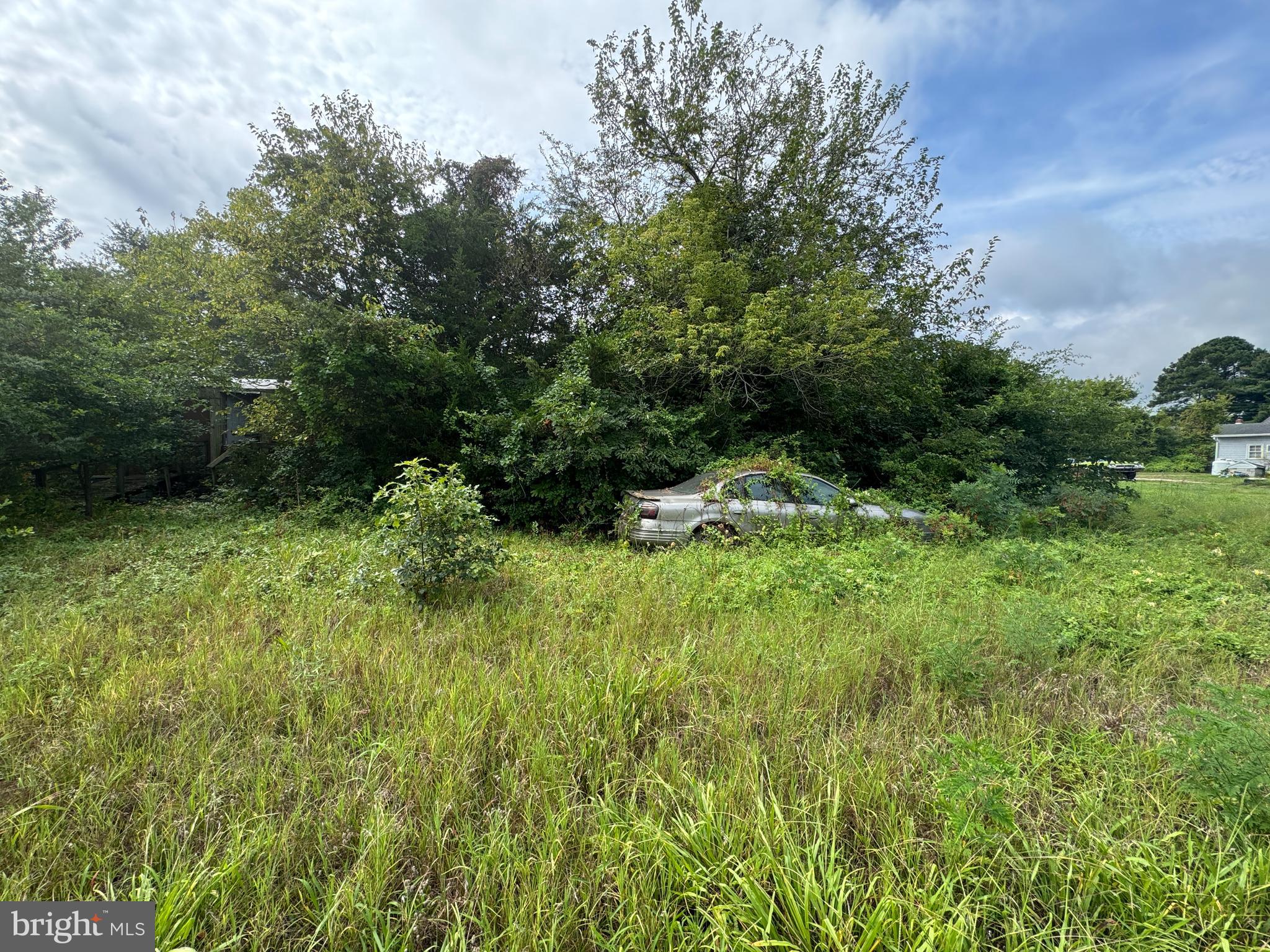 4715 PETERSBURG BACK STREET