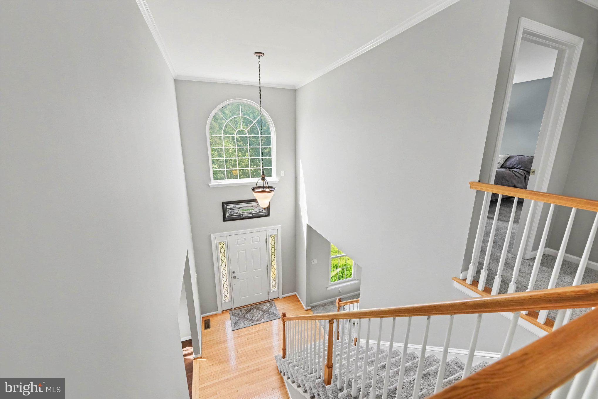 2311 ANGEL DRIVE