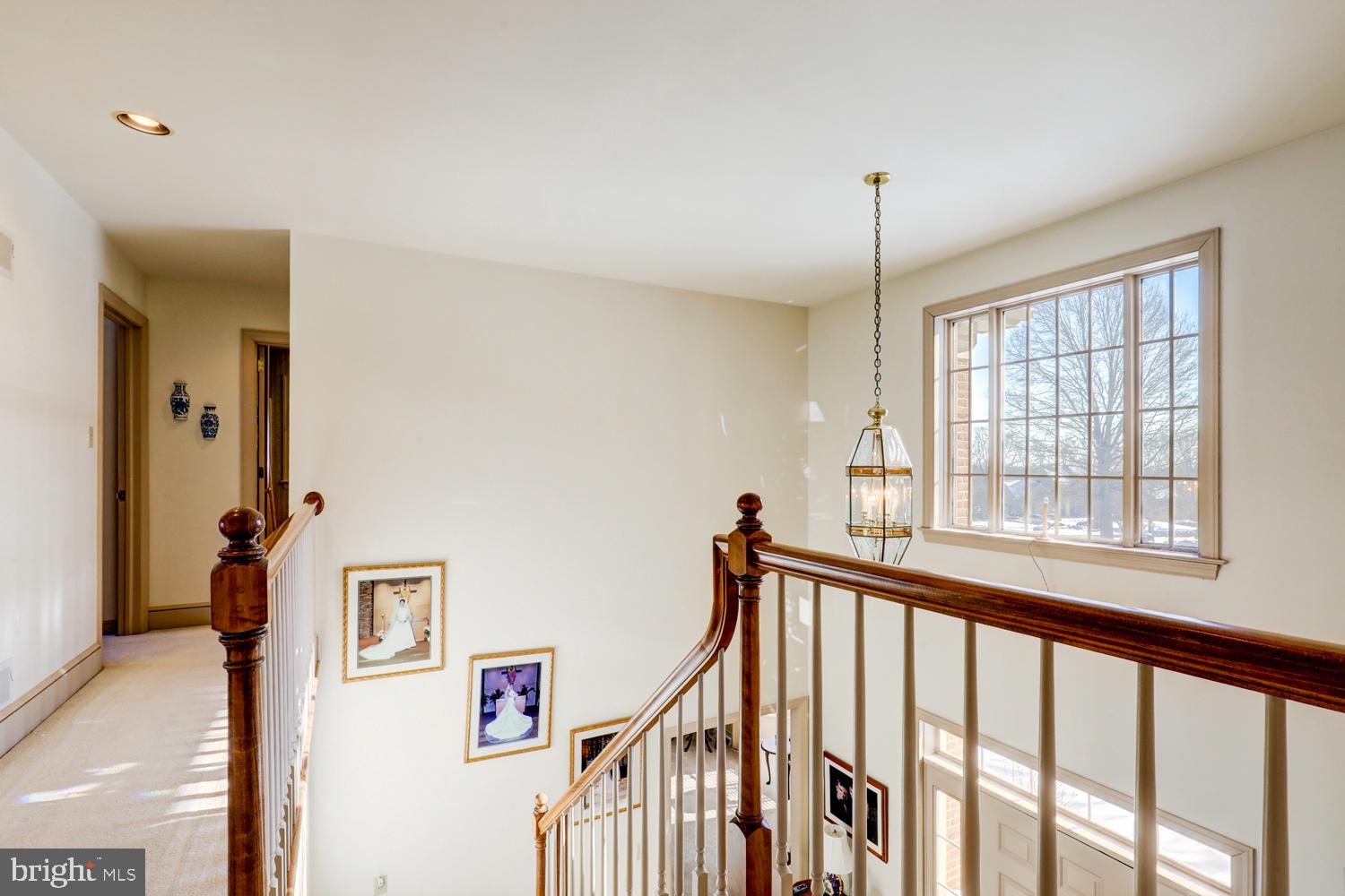 STEEPLECHASE - Residential