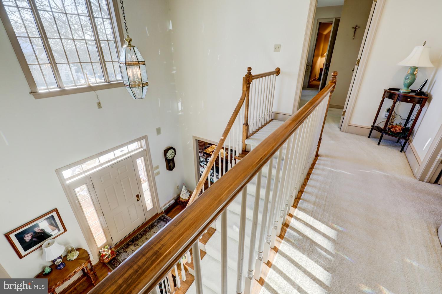 STEEPLECHASE - Residential