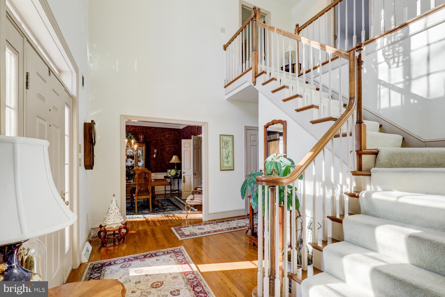 STEEPLECHASE - Residential