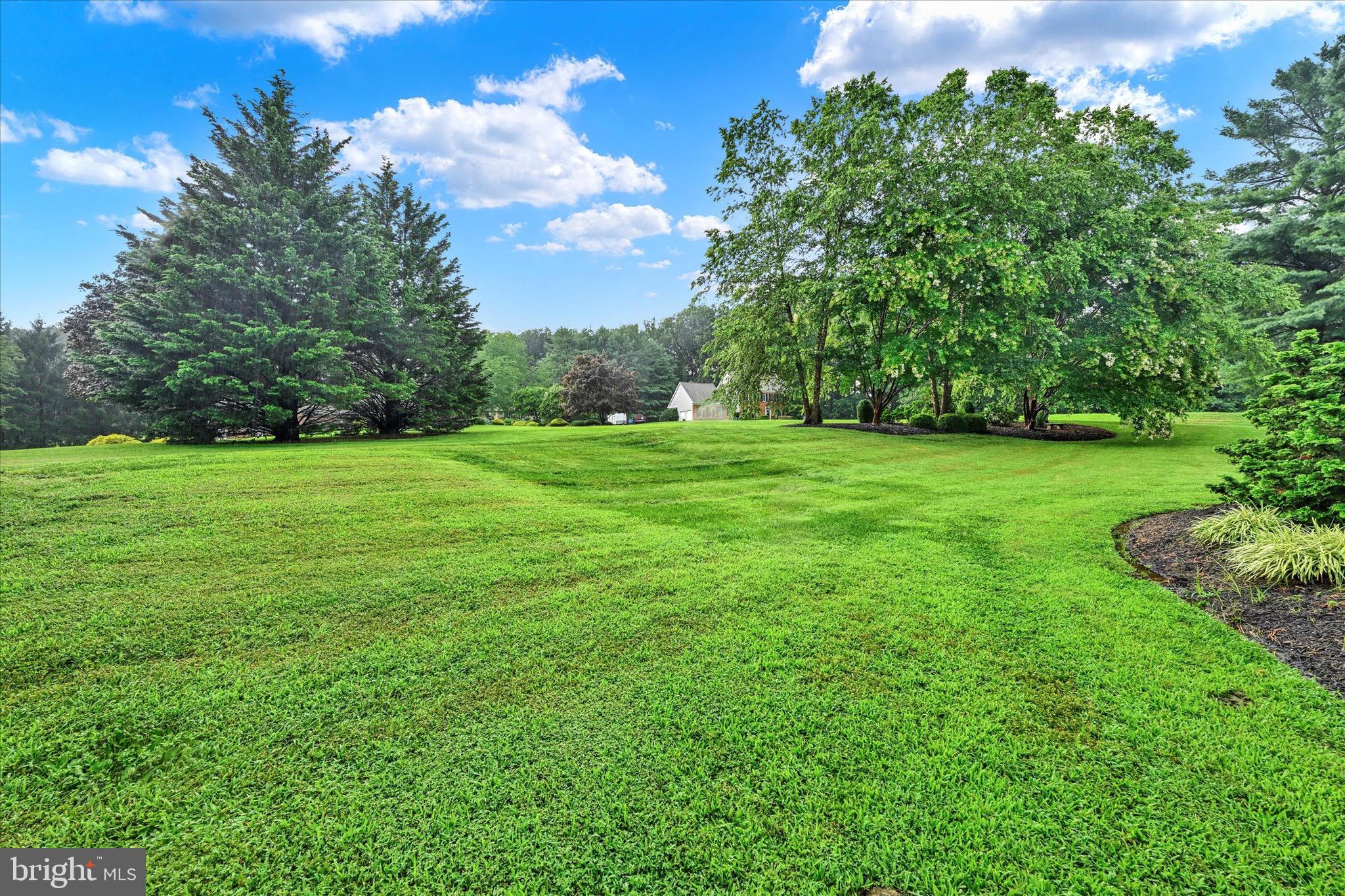 2319 COOL WOODS