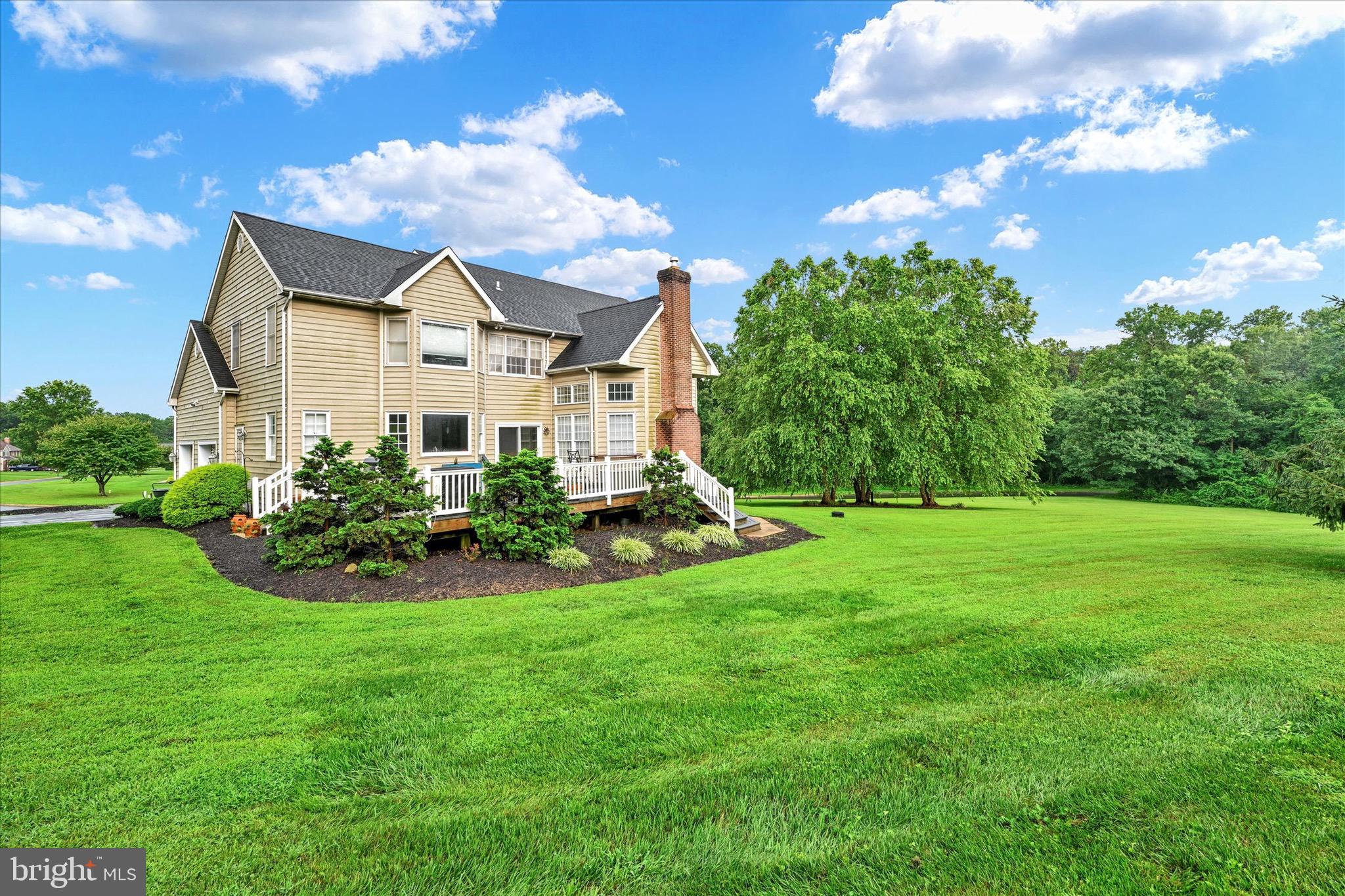 2319 COOL WOODS