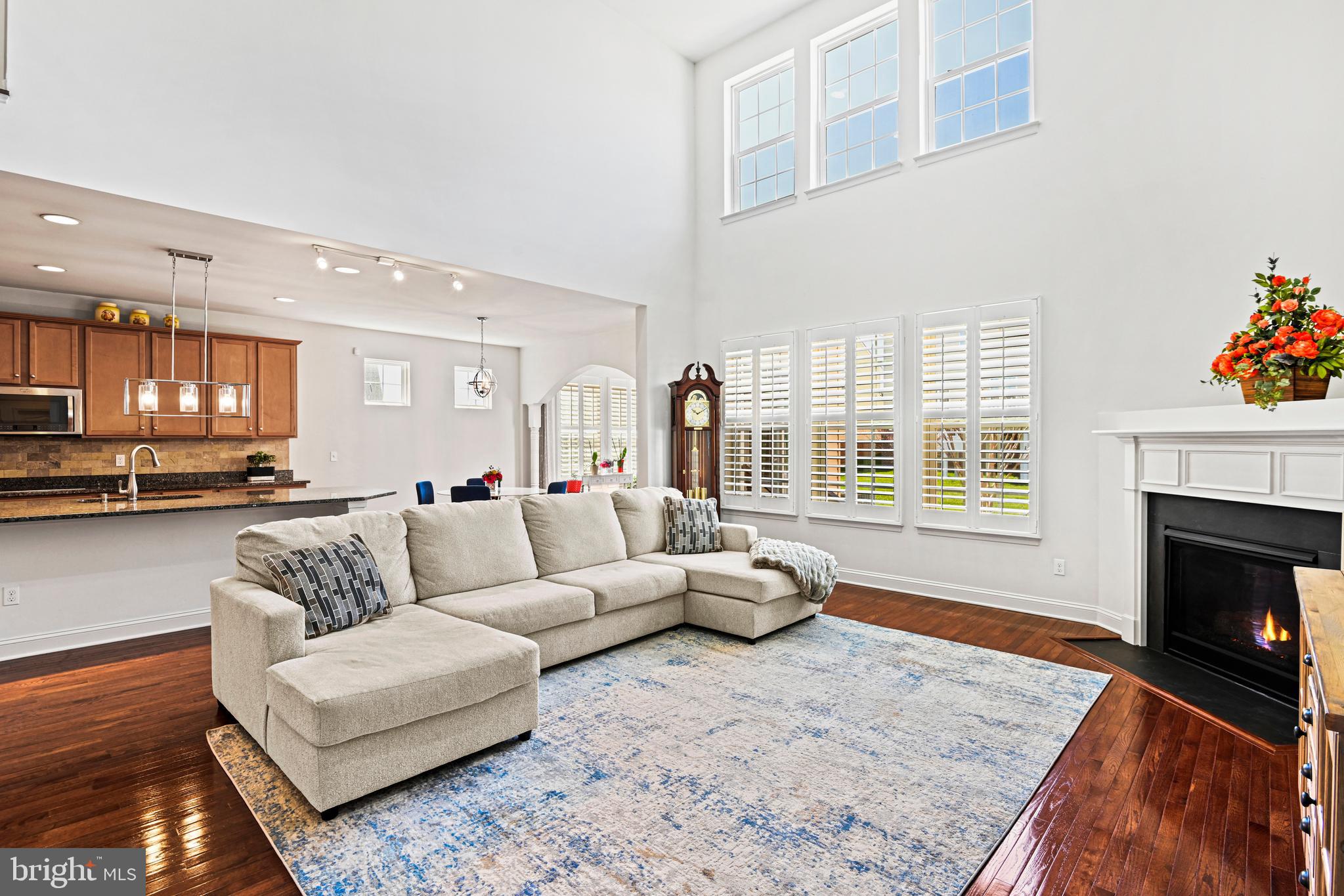 BRAMBLETON BRANDT PROPERTY - Residential