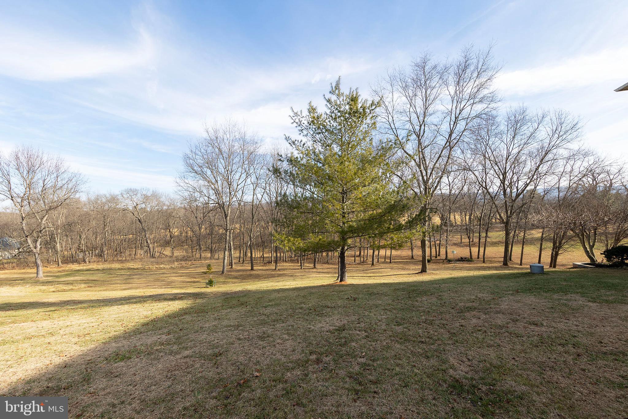 RUNNYMEDE - Residential