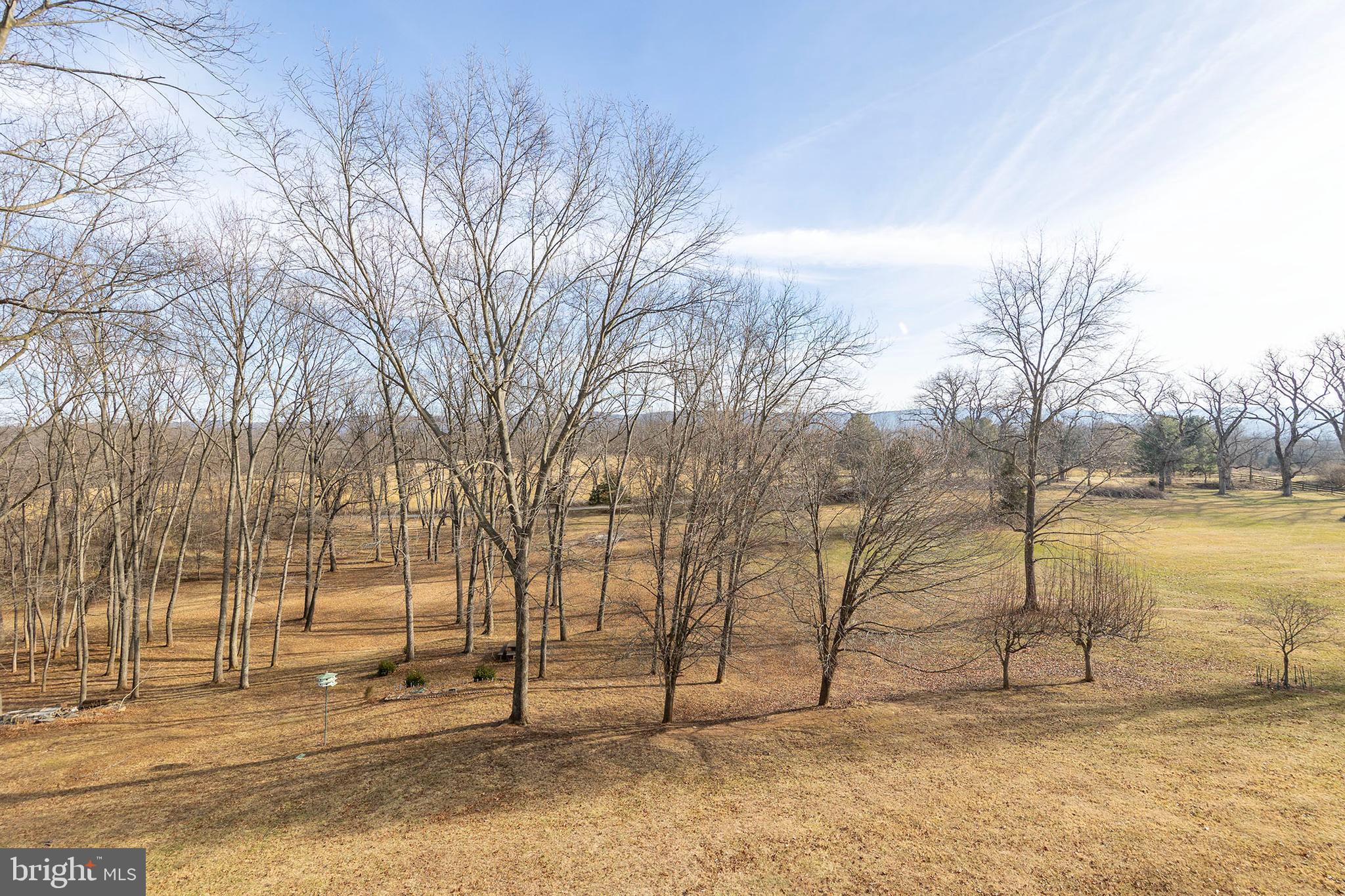 RUNNYMEDE - Residential