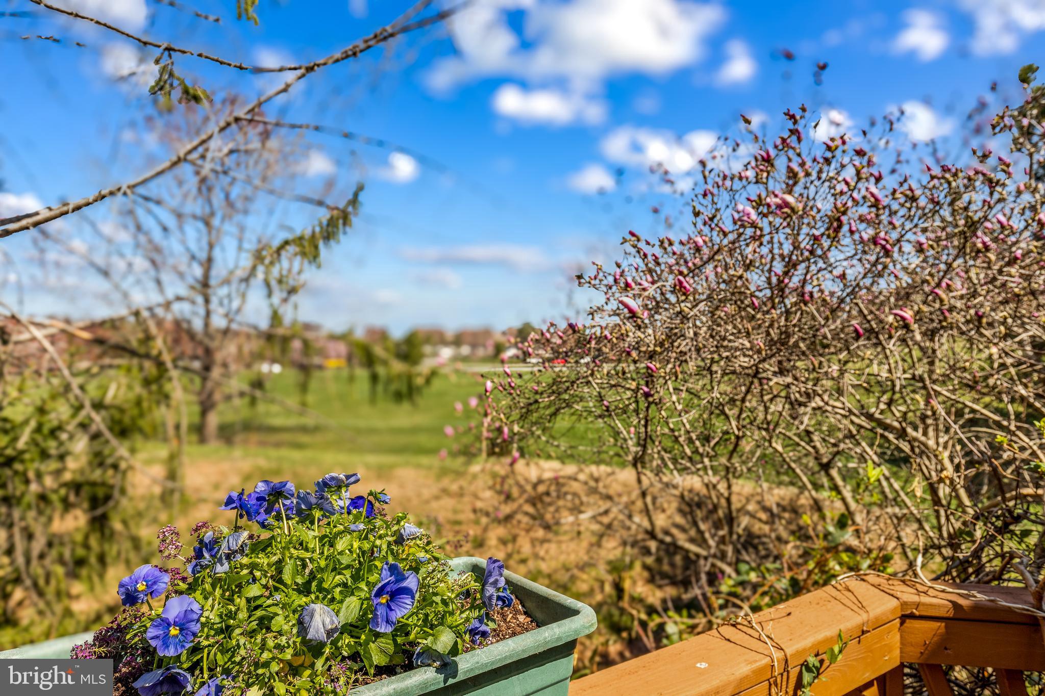 ASHBURN VILLAGE - Residential
