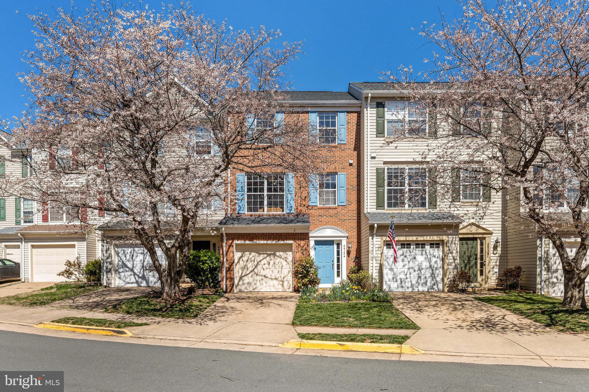 ASHBURN VILLAGE - Residential