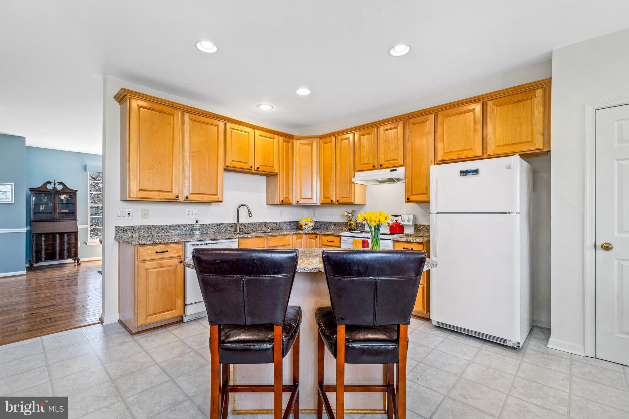 ASHBURN VILLAGE - Residential