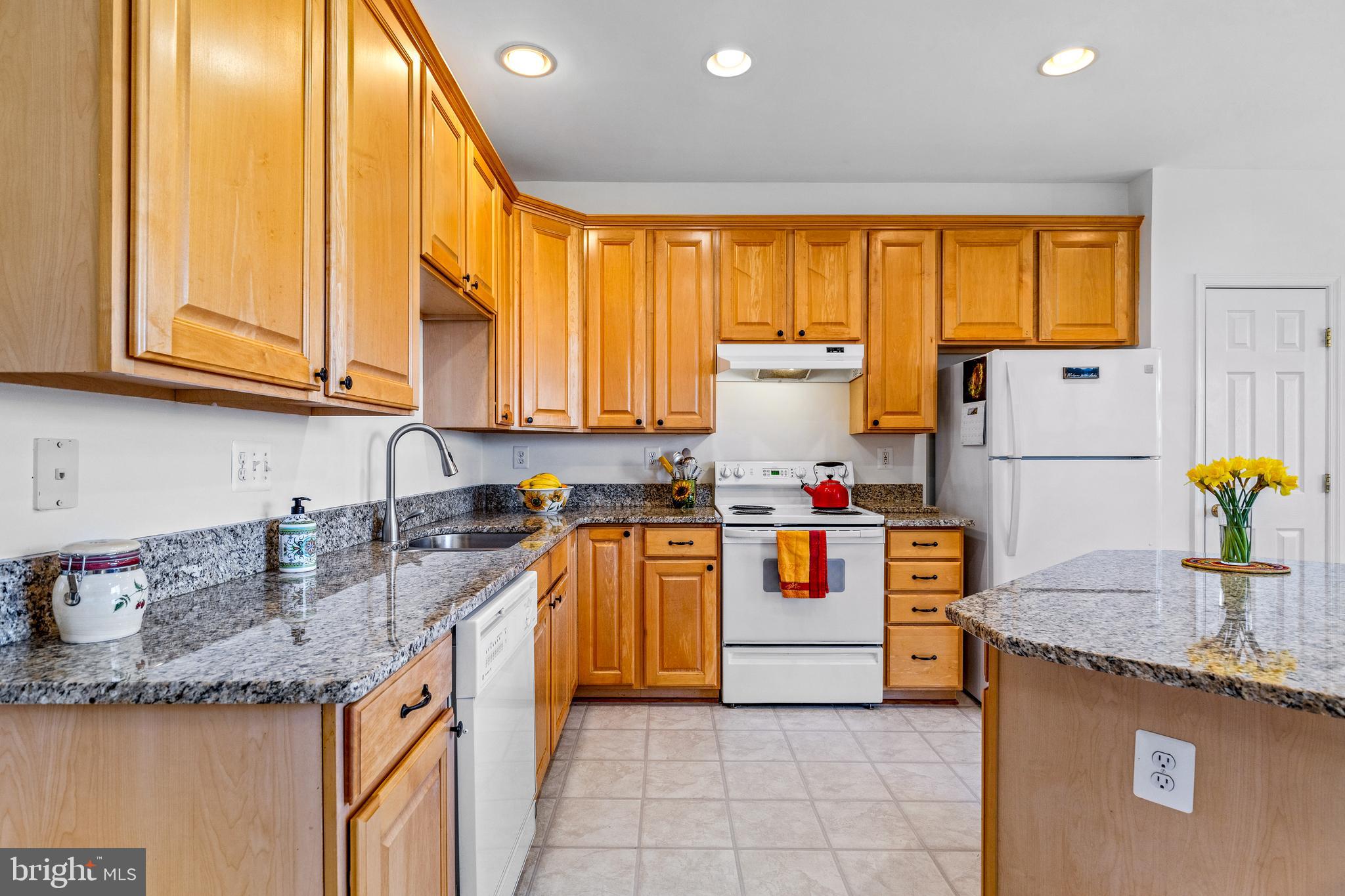 ASHBURN VILLAGE - Residential