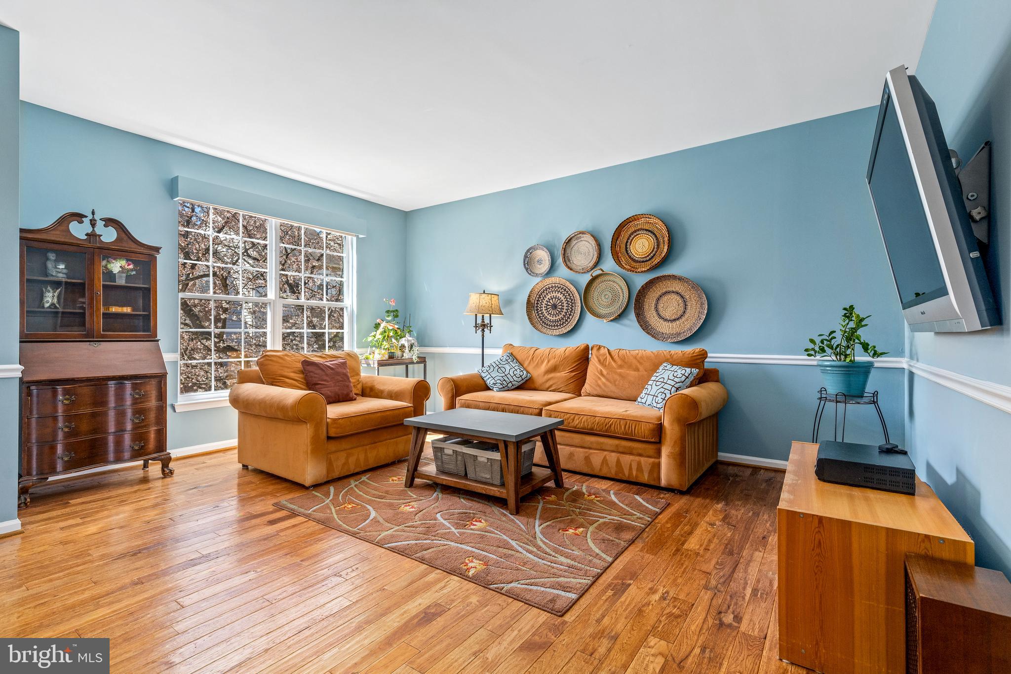 ASHBURN VILLAGE - Residential