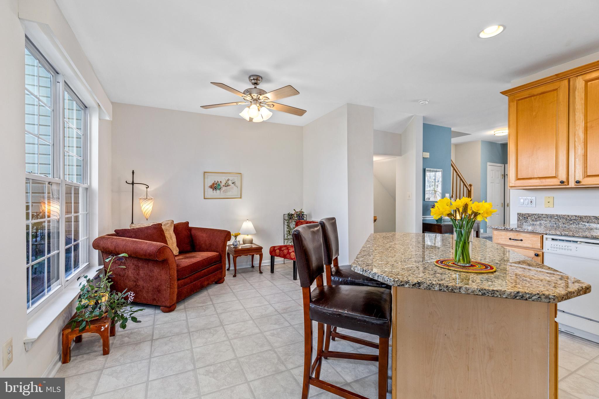 ASHBURN VILLAGE - Residential