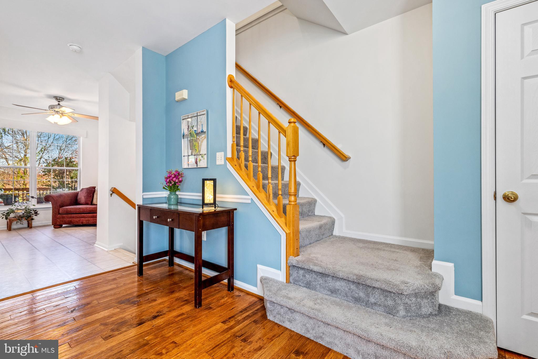 ASHBURN VILLAGE - Residential