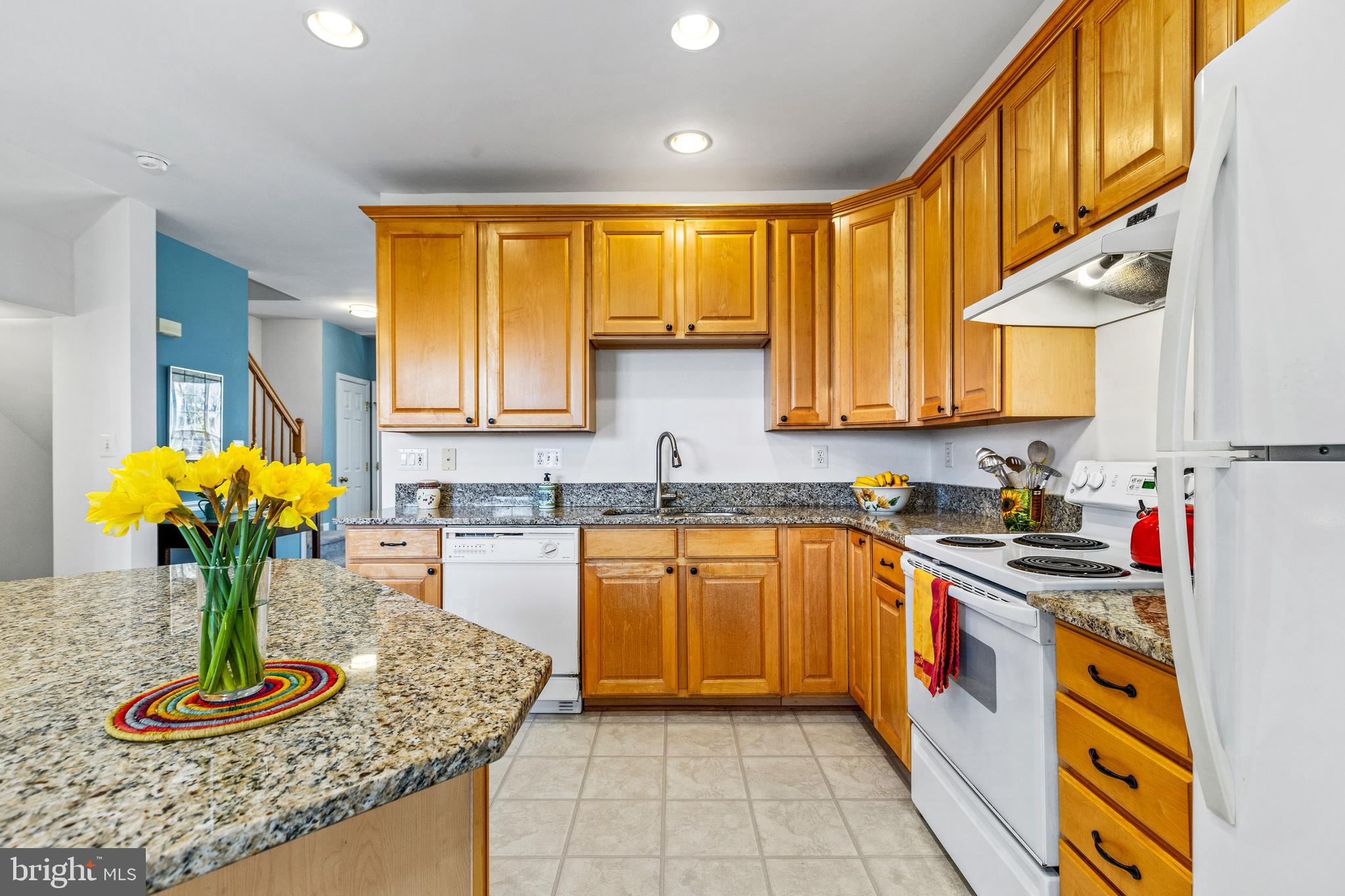 ASHBURN VILLAGE - Residential