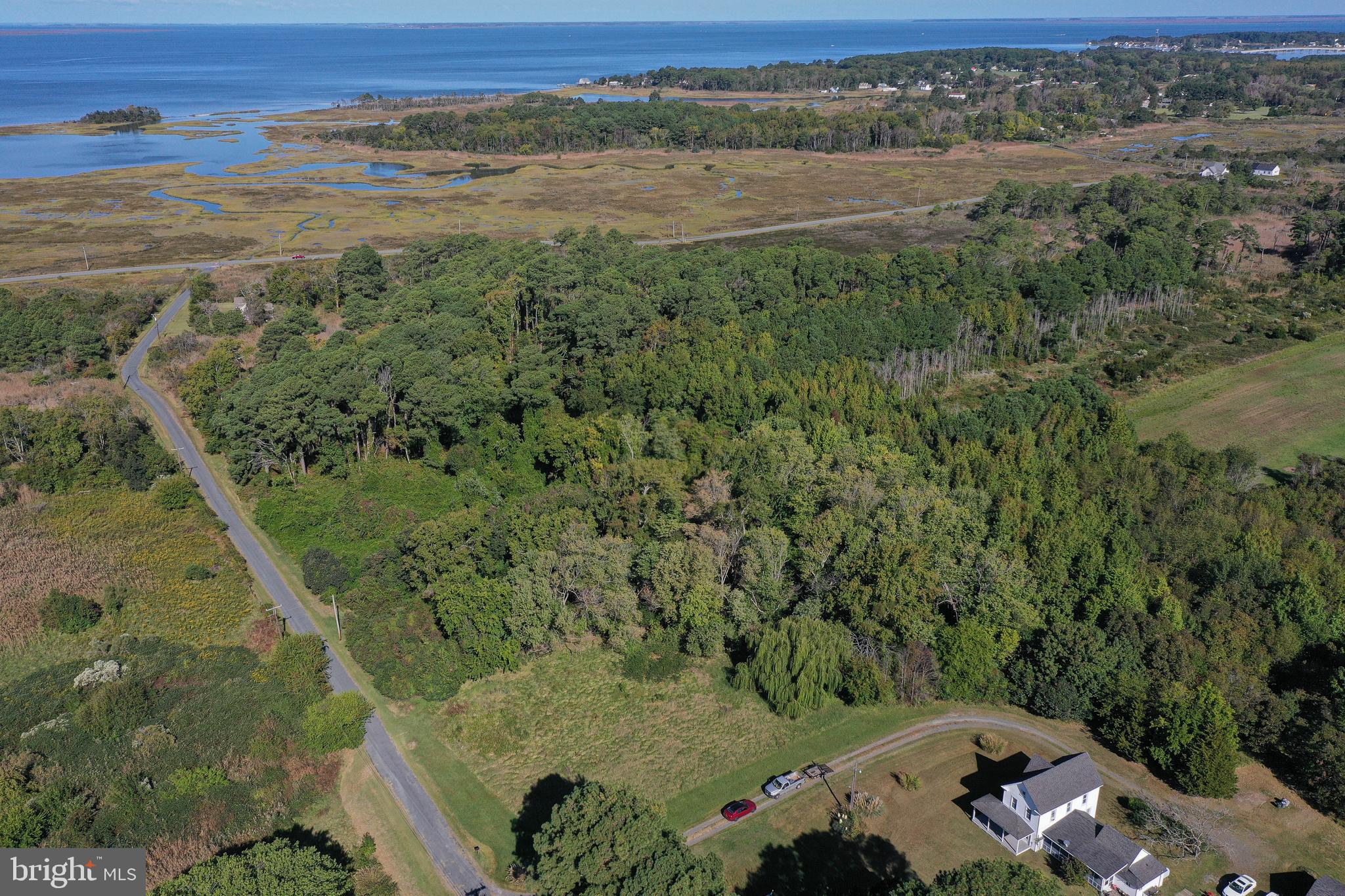 23392 CUSTOM HOUSE ROAD