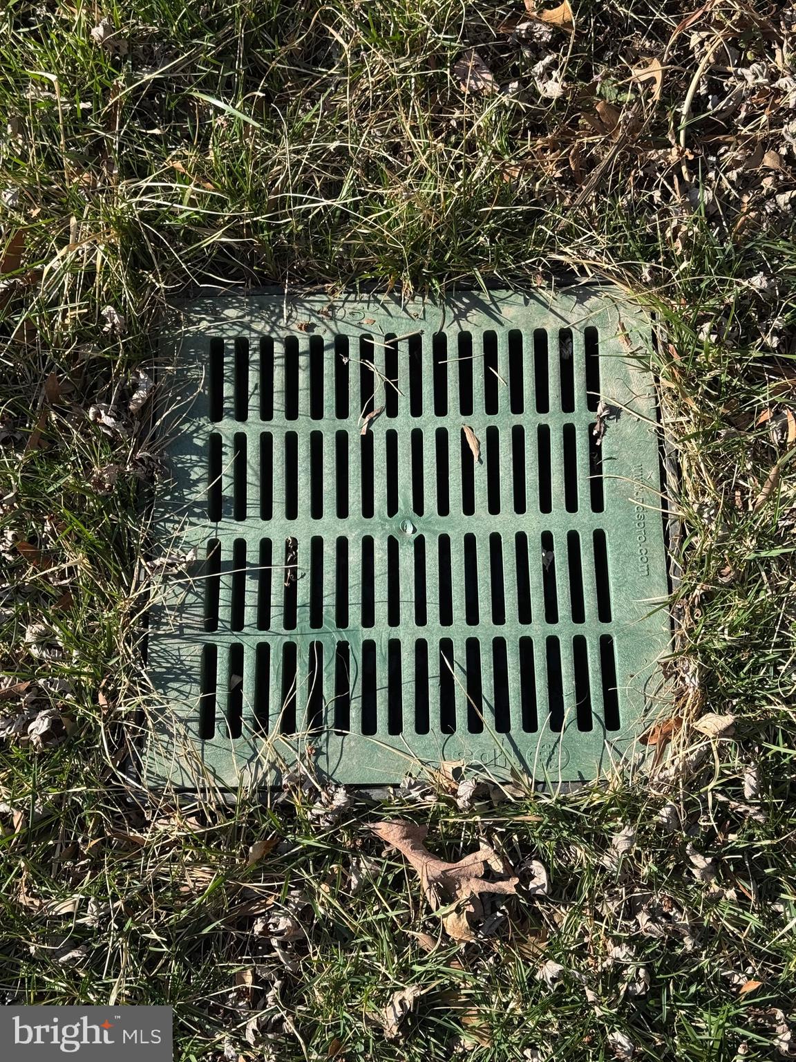 TAKOMA PARK - Residential